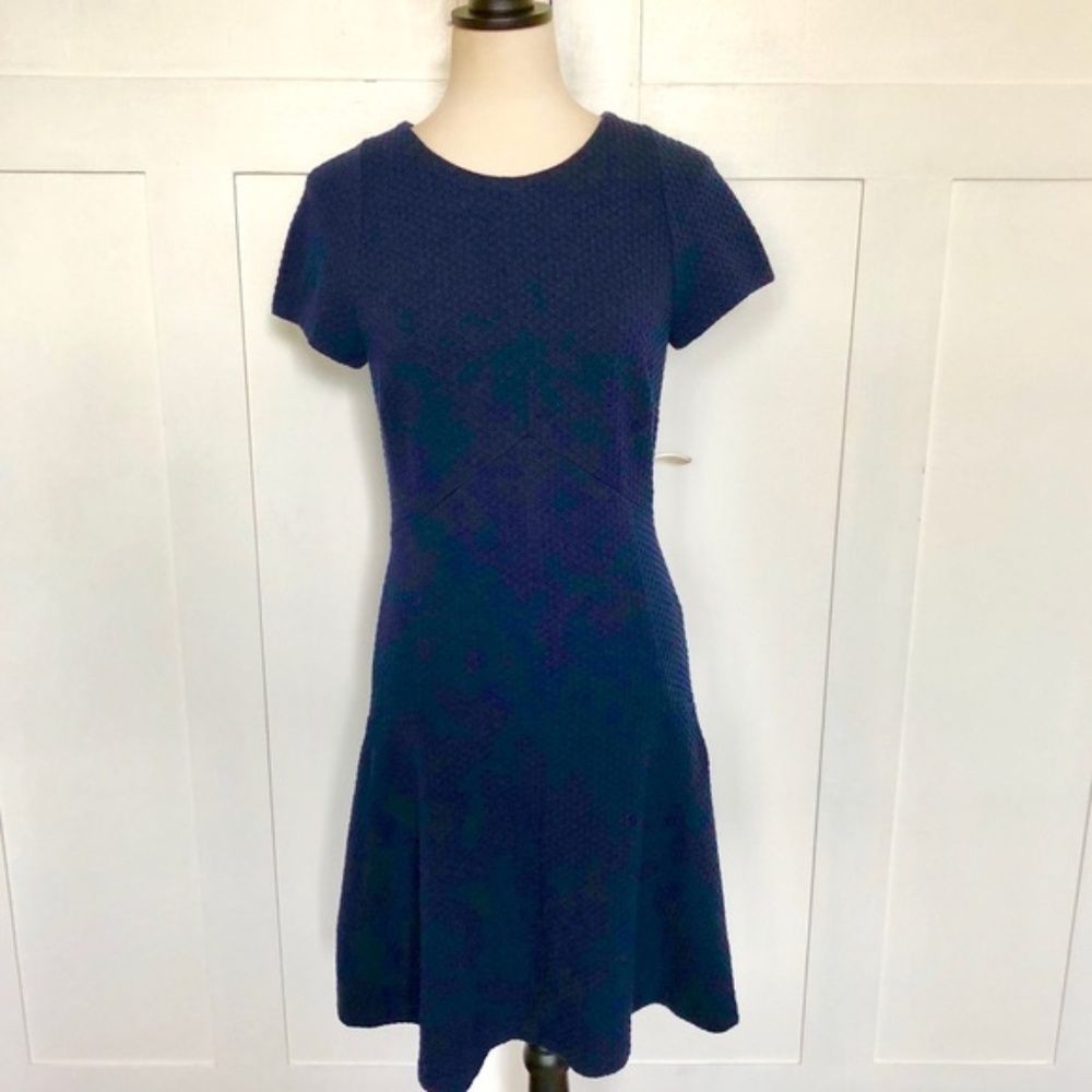 Banana Republic Fit-and-Flare Pointe Dress